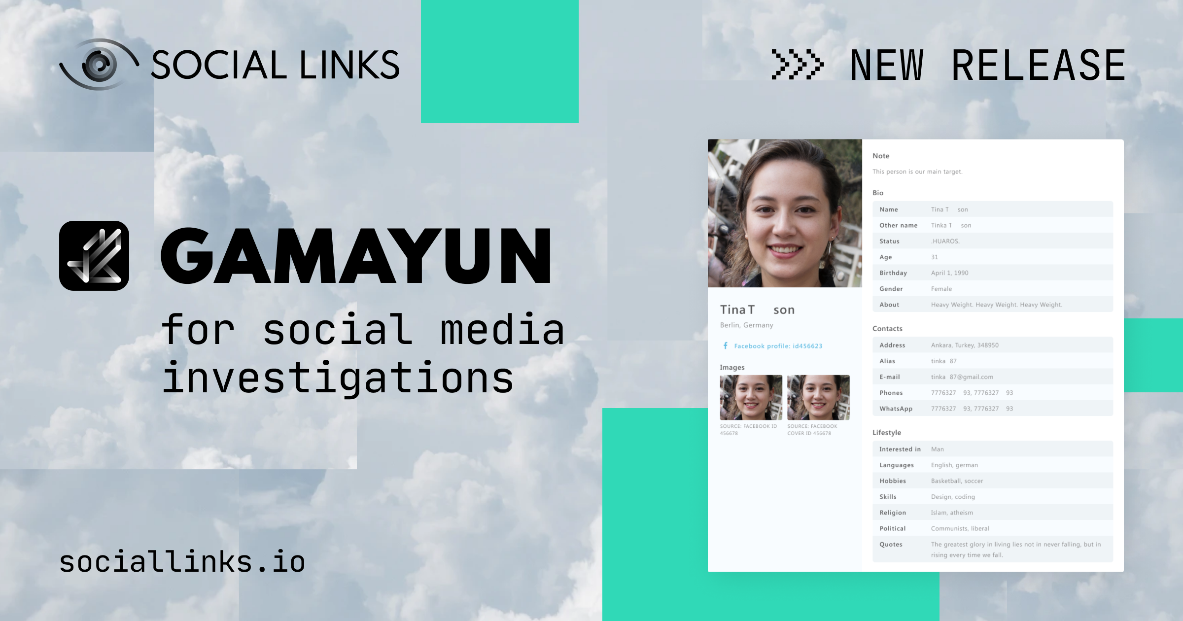 Social Links delivers Gamayun: a web-based product for open-source investigations